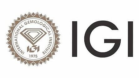 IGI Reports 23% Revenue & 29% EBITDA Growth in Q1 FY27
