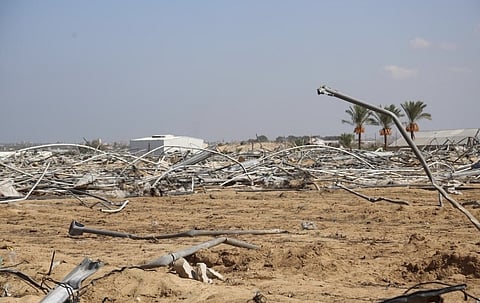 FAO warns of ‘Total Collapse’ in Gaza agriculture as 90% face acute food shortages