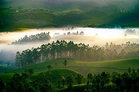 Kerala is now Keralam: Indian government approves name change proposal
