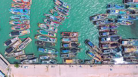 Fuel Price wave hits Thailand’s multibillion-dollar fish trade as Middle East tensions continue
