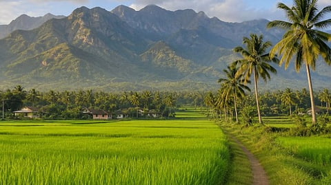 Kollengode: Where Kerala’s green countryside meets the Nelliyampathy hills