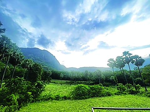 Anaimalai: Where It Is Wild To Be Still