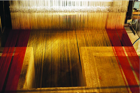 Z for Zari: A Journey Through Threads of Gold