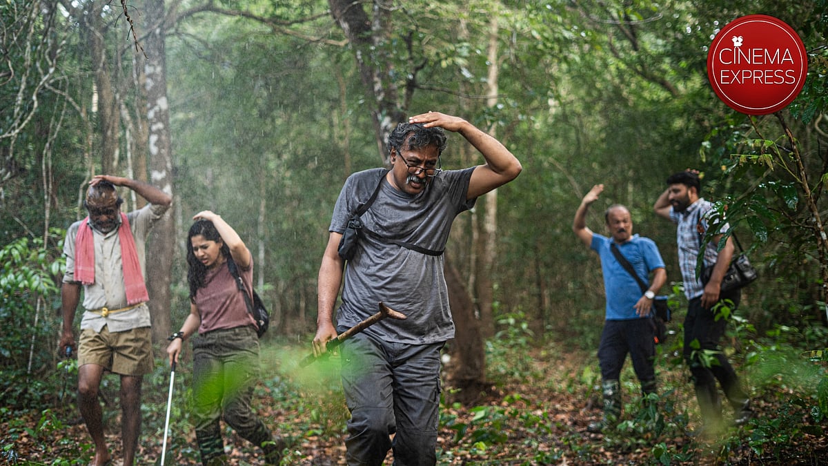 A slow-burning fable of forest, faith, and fate