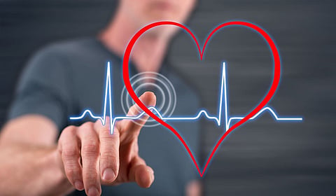 Adobe Stock