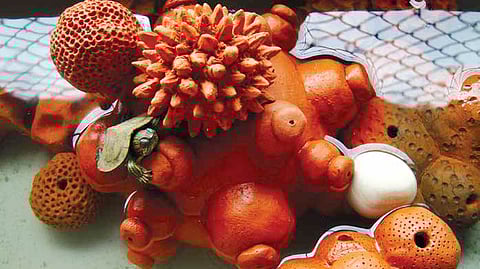 Clay Play - Megha Agarwal