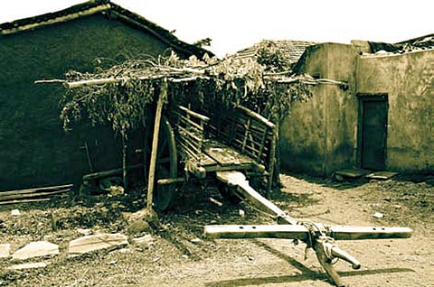 Subject Significance - Vinit Dodamani