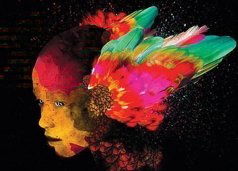 Trend Feed - Issue 11