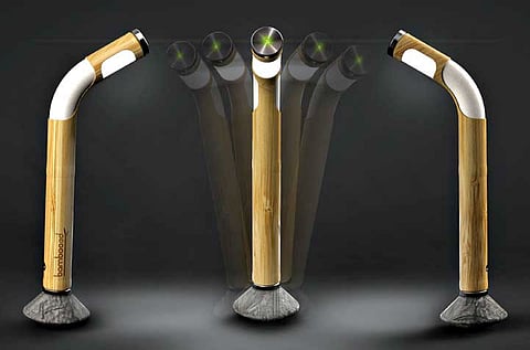 Bamboo Culture - Bambooed 