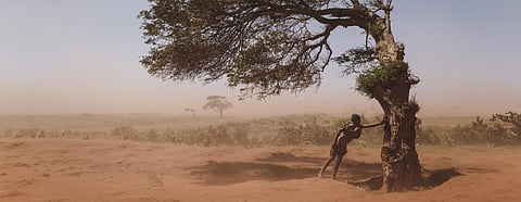 In Ambovombe in the Androy region of Madagascar, a boy takes shelter on a tree that grows in the direction the ‘Tioka’ wind blows to protect himself from the sandy wind. | Photograph courtesy of UNICEF