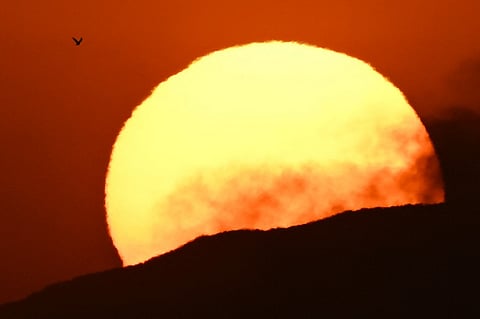 Photo by Patrick T. FALLON / AFP