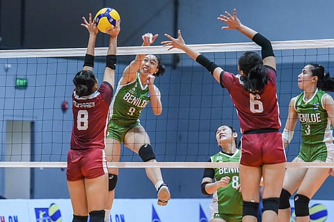 Photo courtesy of VLeague website