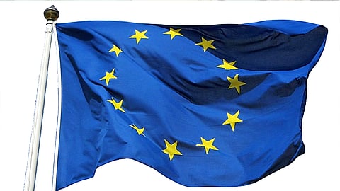 EU has the euro as common currency.