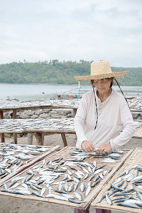 Achieving gender equality in the sardine fisheries sector necessitates the active participation of women fisherfolk in post-harvest processes, on par with their male counterparts. The effective implementation of the National Sardines Management Plan is essential, as it provides the framework for implementing strategic interventions and measures that promote women’s inclusion and empowerment in the industry. | Photograph courtesy of Oceana
