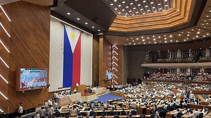 Representatives initiate own reso amending economic provision of constitution
