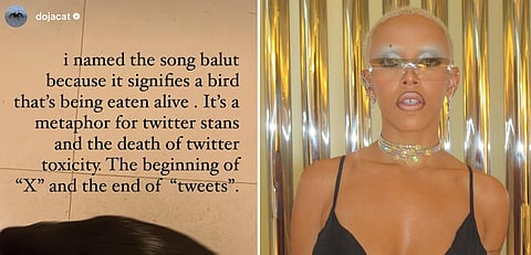 (Photo from Doja Cat / Instagram)