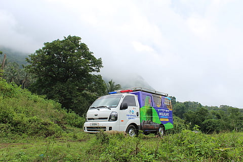 Photo courtesy of  BMB-National Wildlife Rescue and Research Center.