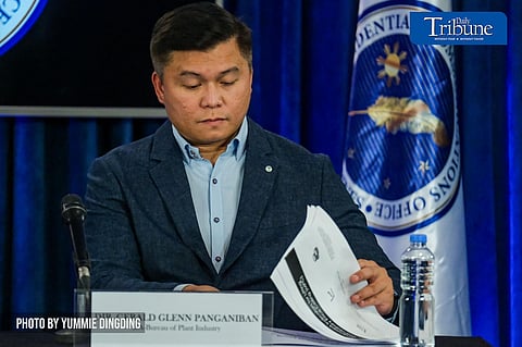 Director Gerald Glenn Panganiban