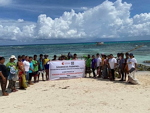 Beneficiary farmers in barangays Sibato and Sibolo, Caluya, Antique recently received seaweed propagules from SMPC as an additional source of livelihood. 
