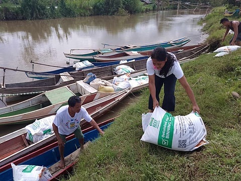 (Photo from DA-PhilRice Midsayap / Facebook)