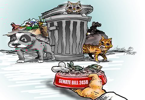 Safeguarding the ‘voiceless’