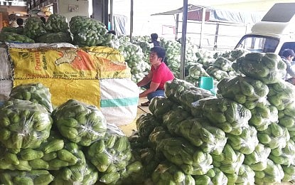 Benguet farmers receive huge boost