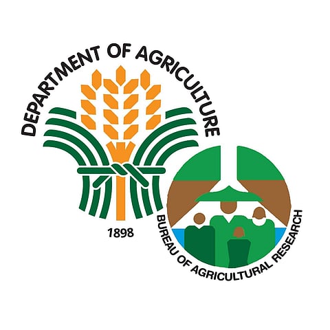 Photograph Courtesy of DA - Bureau of Agricultural Research/Fb