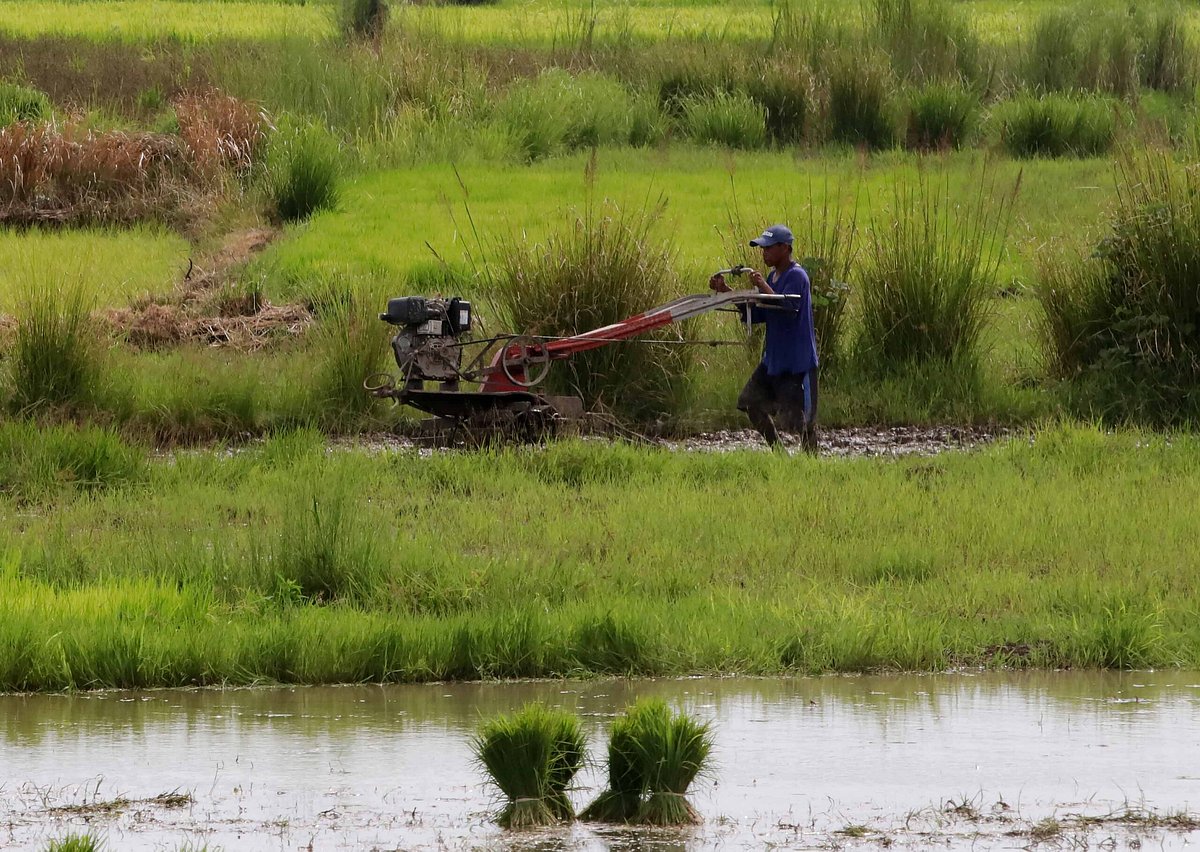 House Bail farmers out of CARP debt