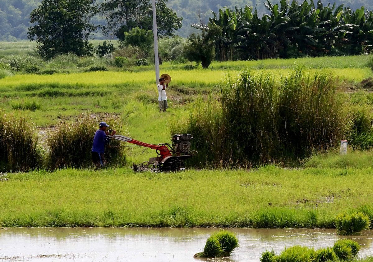 Palayan farmers complete climate resiliency training