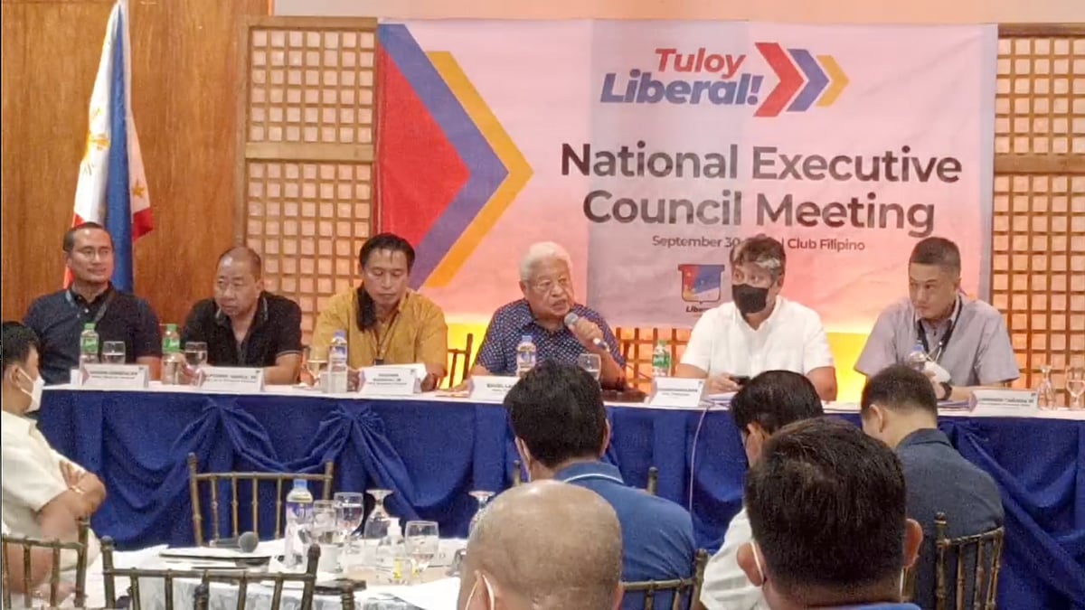 Liberal Party elects Albay Rep. Edcel Lagman as party president