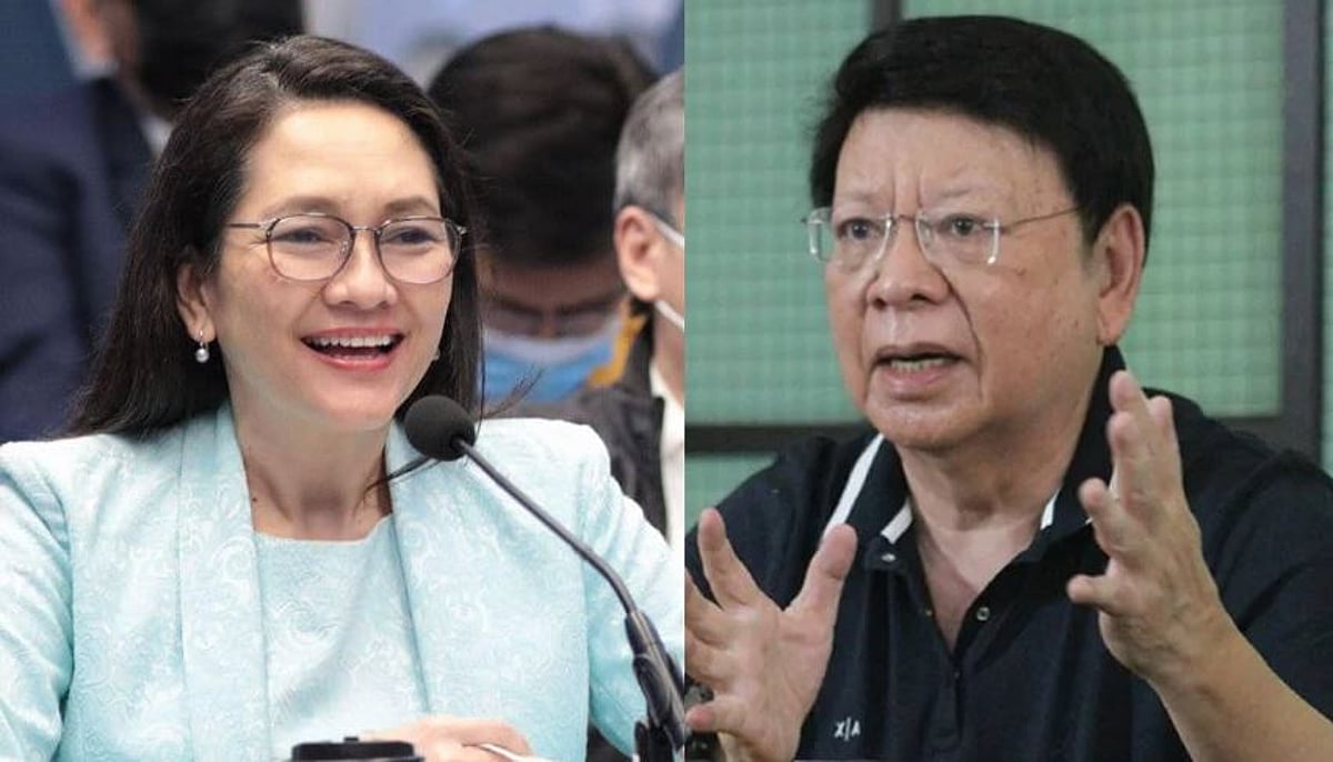 Hontiveros, Marcoleta clash at Commission on Appointments hearing