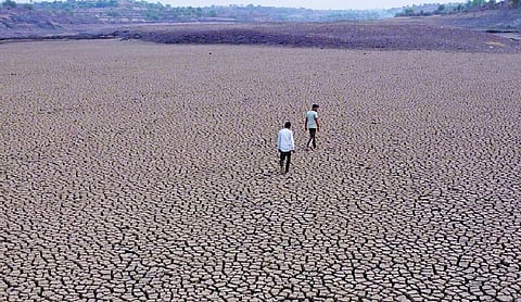 El Niño’s ‘Godzilla’ warning: 
Climate change turns up the heat