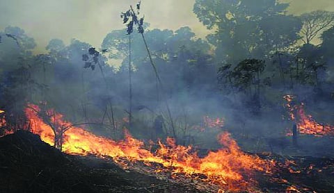 Brazil investigates Amazon wildfires that disrupt daily life, have fuelled political attacks
