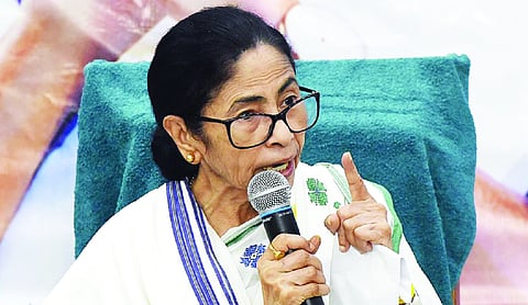 TMC feud deepens over alleged fake affidavits