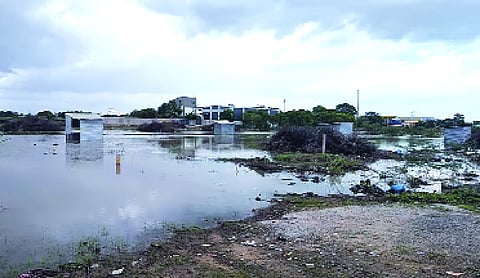 SC upholds cancellation of patta over TN water body