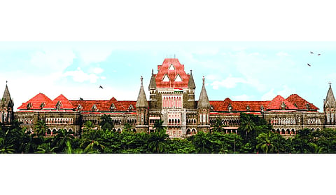 Peaceful protest is right, but credentials matter: Bombay HC