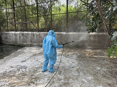 Vandalur Zoo in Chennai