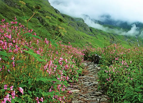 Into The Valley Of Gods: Badrinath, Hemkunt Sahib And The Valley Of Flowers