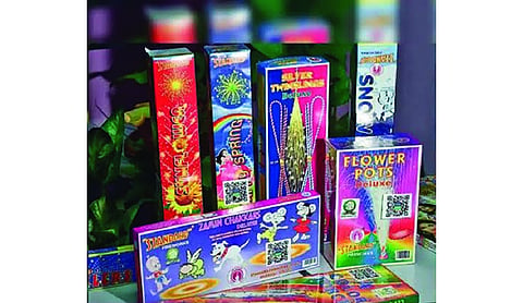 Two booked after 2,375 kg of green crackers seized in Haiderpur 