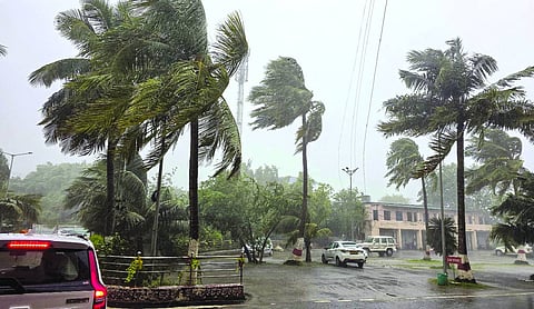 Coconut trees sway amid gusty winds and heavy rainfall triggered by Cyclone Arnab, in Puri, 
