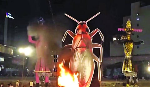 Cockroach ‘dahan’ & its ethical implications
