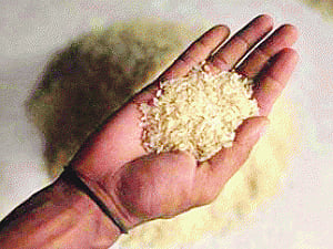 Cong hungers for Food Bill