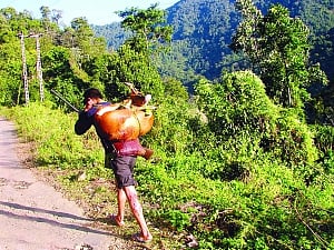 Arunachal  keeps hunting