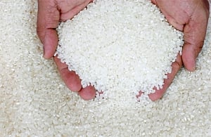 Non-basmati rice up on increased demand, maize declines