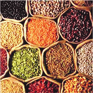Cong wants its stamp on Food Bill