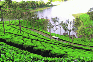 Tracing Sita's footsteps