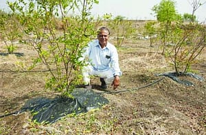 Innovative agri techs help farmer's products go from farm to fork minus FDI in retail
