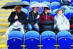 Cook helps Eng post 169, NZ lose early wickets