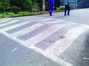 City puts brakes on speed breakers