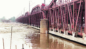 Flood gives life to the dying Yamuna